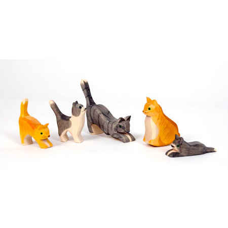 cats ostheimer